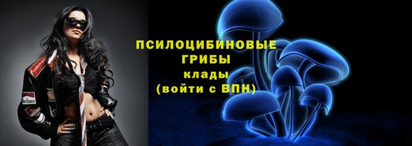 a pvp Арсеньев