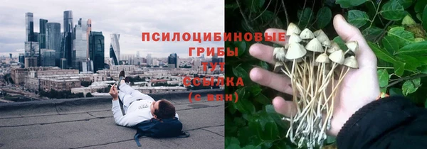 винт Надым
